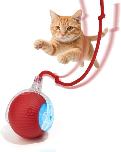 Interactive Dog Cat Toy Ball- Upgraded Rechargable Smart Automatic Rolling Pet Ball with Tail- Fast Moving Toy for Bored Indoor Kitty Puppy